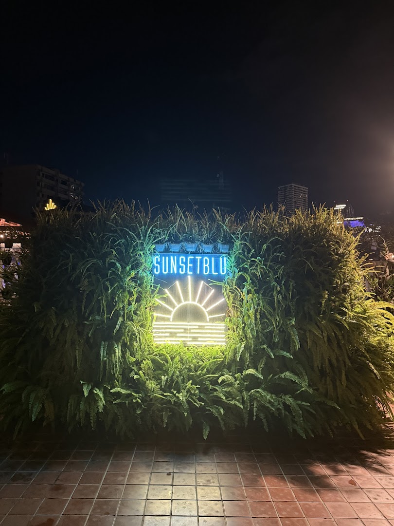 SunsetBlu neon brand sign illuminated in blue and amber, framed by tropical ferns at night